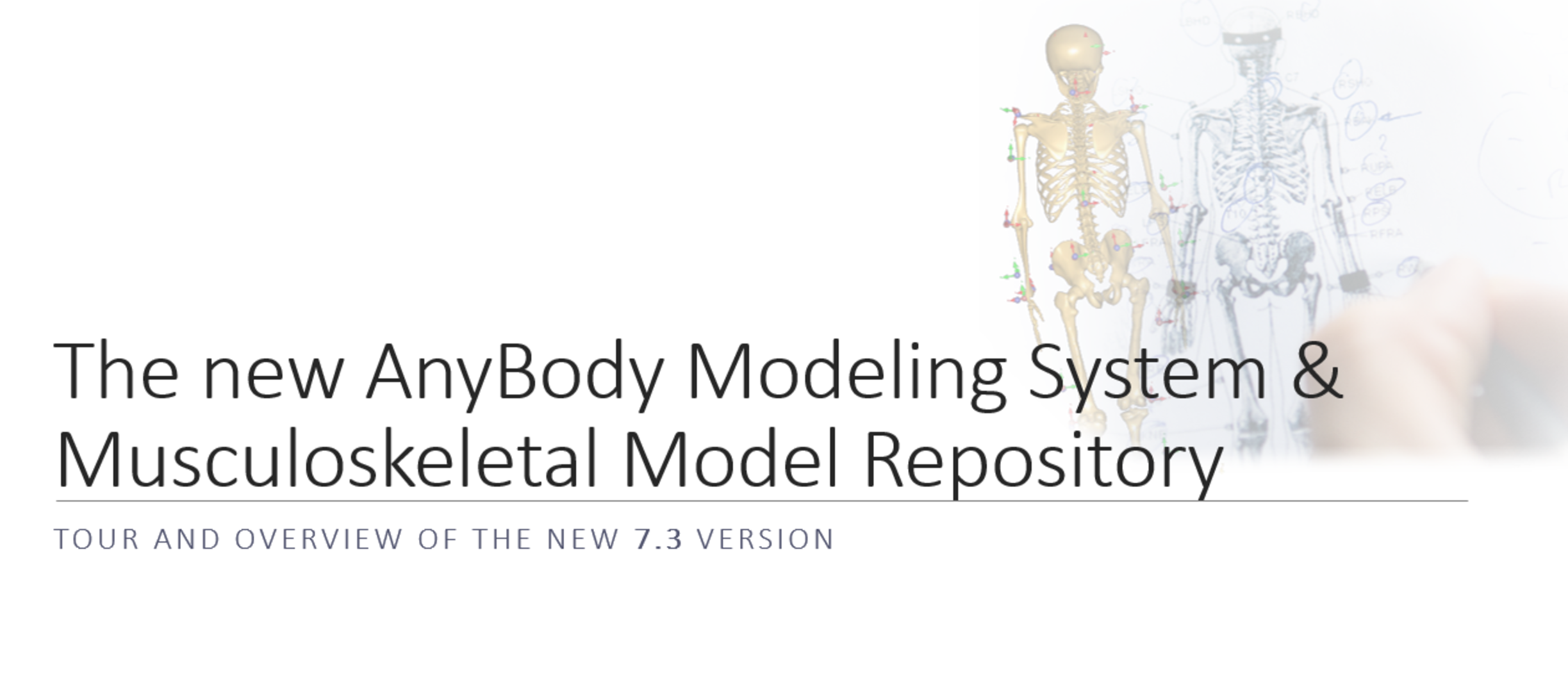 New features in the AnyBody Modeling System Version 7.3