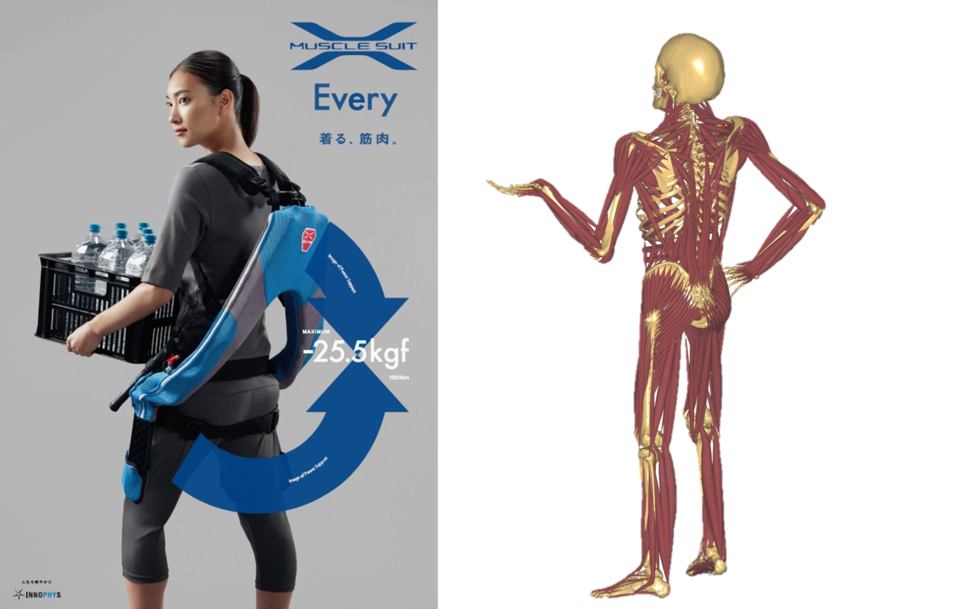 Introduction to Innophys and their wearable exoskeleton