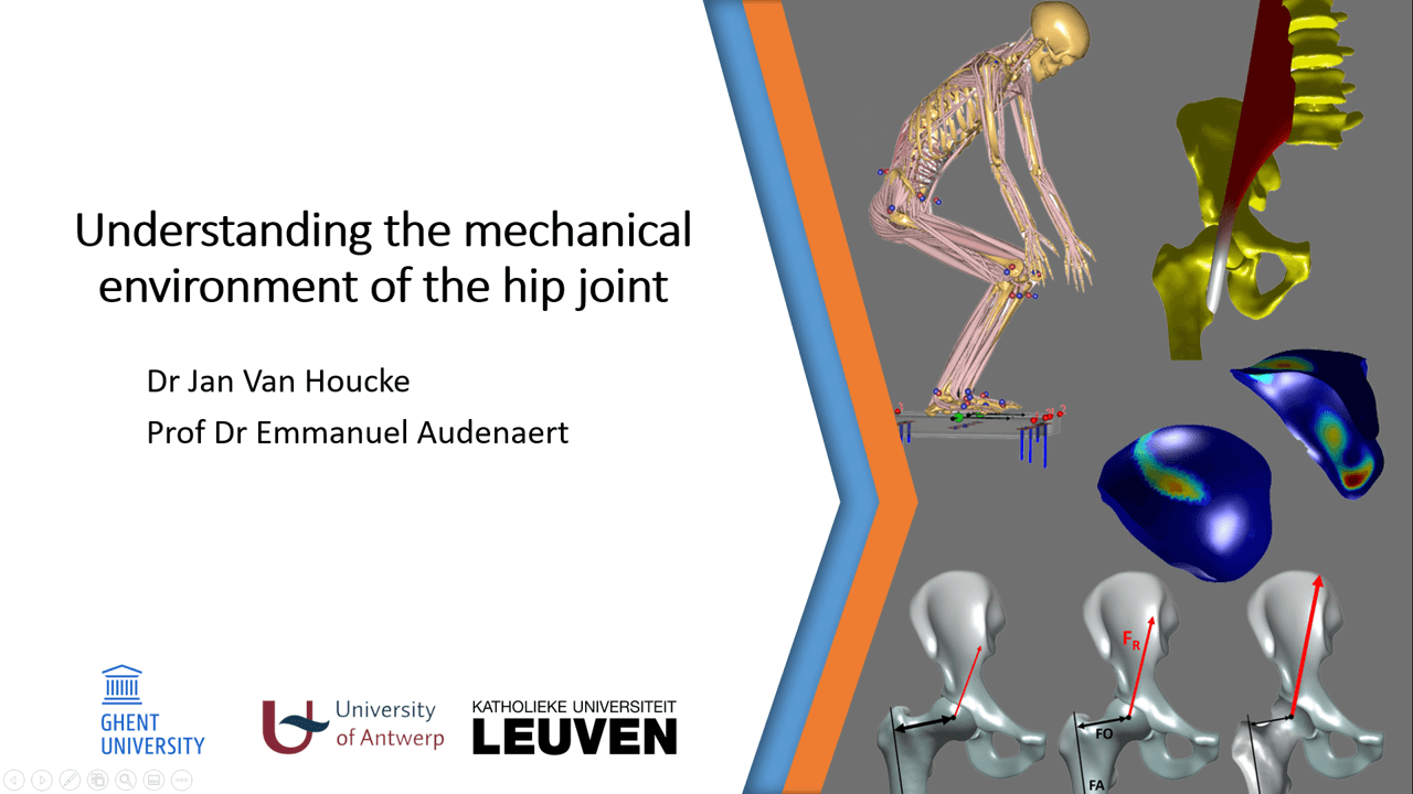 Understanding the mechanical environment of the hip joint