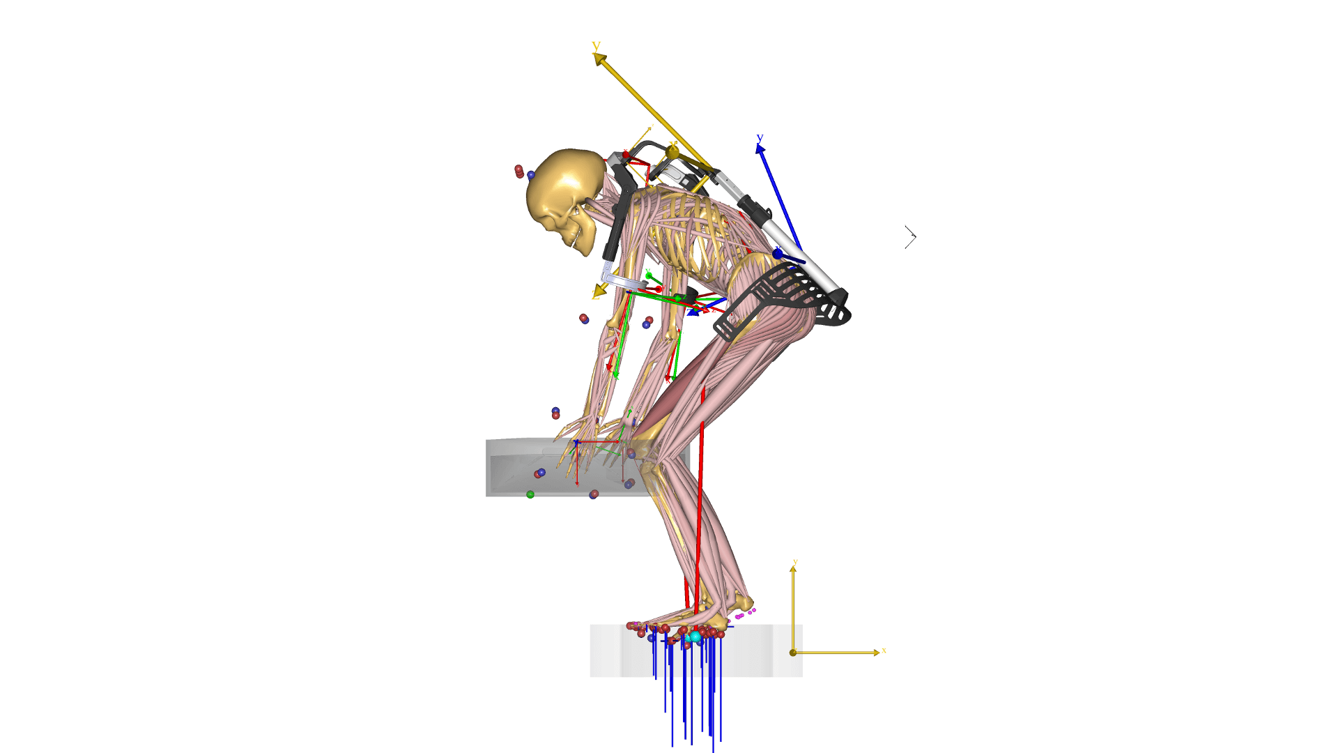 Biomechanical investigation of a passive upper extremity exoskeleton for manual material handling – A computational parameter study