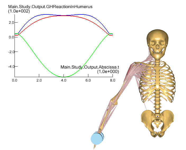 Shoulder biomechanics