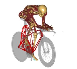Human model on bicycle