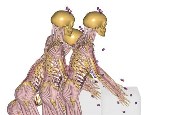 Simulation-Driven Conceptual Design of Exoskeletons