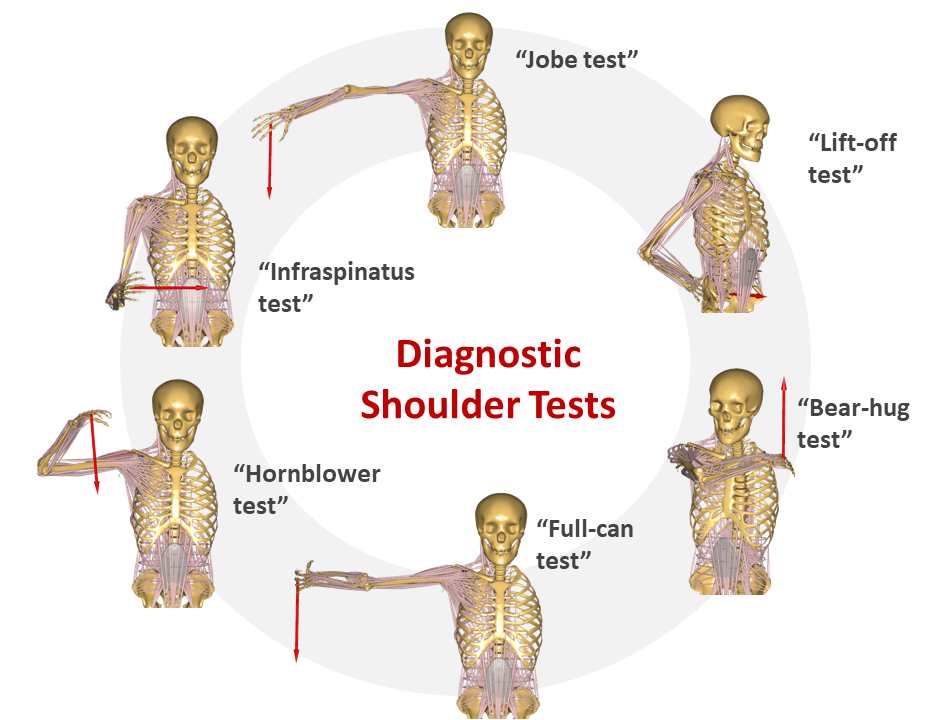 Diagnostic Shoulder Tests