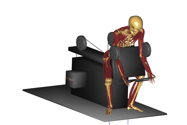 Sports biomechanics