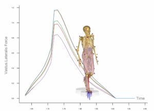 Biomechanical simulation Biomechanical simulation